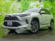 RAV4 2.0 G Zパッケージ 4WD デジタルインナーミラー/モデリスタエアロ