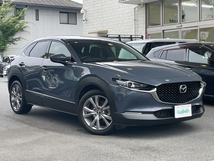 CX-30 2.0 20S プロアクティブ 4WD 4WD車 ACC  LKA  BLIS  地デジ Bカメラ