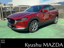 CX-30 2.0 20S Lパッケージ ナビ 2カメドラレコ