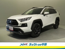 RAV4 2.0 アドベンチャー オフロード パッケージ 4WD ナビ・全方位モニター・ETC