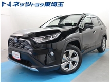 RAV4 2.5 ハイブリッド G E-Four 4WD 純正SDナビ バックカメラ 衝突軽減