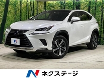 NX 300h Iパッケージ ガラスルーフ 禁煙車