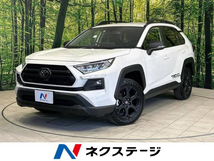 RAV4 2.0 アドベンチャー オフロード パッケージII 4WD 10.5