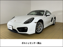 ケイマン PDK PDK PDLS 電動ドアミラー