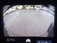 XC40 B4 AWD モメンタム 4WD ACC/LED/スマートキー/ナビTV/360度カメラ