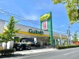 ガリバー 和歌山国体道路店の店舗画像