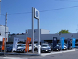 Volkswagen柏 の店舗画像