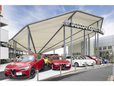 フィアット堺/アルファロメオ堺/アバルト堺 認定中古車オートエキスパートセンターの店舗画像