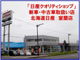 北海道日産自動車(株) 室蘭店の店舗画像