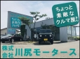 株式会社 川尻モータース 藤島バイパス展示場の店舗画像