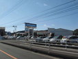 (有)南国自動車販売 の店舗画像