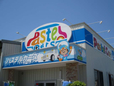 Pastel Cars の店舗画像