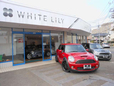 White Lily の店舗画像