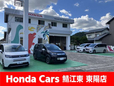 Honda Cars 鯖江東 東陽店の店舗画像