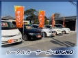 トータルカーサービス BIGNO の店舗画像
