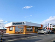 BUDDICA (バディカ) 熊本北支社の店舗画像