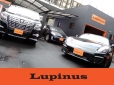 TOTAL CAR SHOP Lupinus の店舗画像