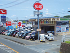 未使用車・中古車・大型展示場 松下モータース 掛川国一支店の店舗画像