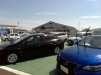 鹿児島トヨタ自動車 グリーンフィールド川内の店舗画像