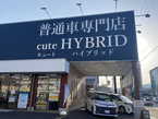 キュートハイブリッド の店舗画像