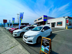 Cars カーズ新潟自動車販売(株) の店舗画像