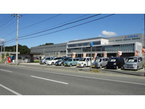 VISION の店舗画像