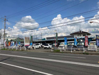 有限会社ファルックトレーディング スマートオート本店の店舗画像