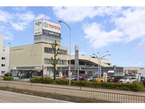 NTP名古屋トヨペット(株) 港店の店舗画像