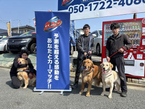 カーマッチ福岡福津店 の店舗画像