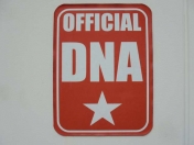 [茨城県]GARAGE DNA 