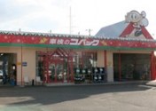 [岡山県]車検のコバック 水島店