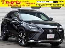 NX 300h Fスポーツ 4WD 後期 サンルーフ ブラインドスポット