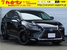 NX 300h バージョンL 4WD 後期 寒冷地 21インチAW 車高調 エアロ