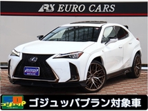 UX 250h Fスポーツ ワンオーナー車 TRDエアロ・マフラー