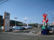 トヨタカローラ愛知（株） 豊橋マイカーセンターの店舗画像