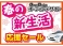 ライフ 660 G スマートプラス 検2年 Sキー ナビ TV CD DVD フォグ アルミ