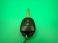 カローラフィールダー 1.5 ハイブリッド 純正SDナビ LED ETC キーレス 禁煙車