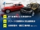 X2 xドライブ20i MスポーツX 4WD 追従クルコン OP20AW Pアシスト HUD 本革